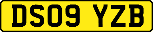 DS09YZB
