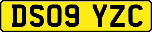 DS09YZC
