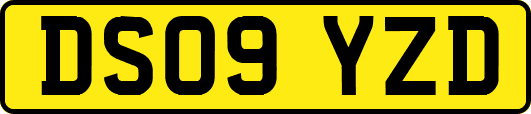 DS09YZD