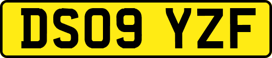 DS09YZF