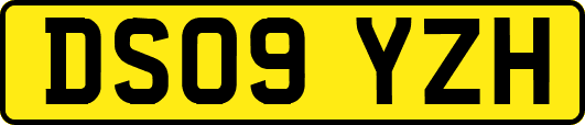 DS09YZH