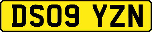 DS09YZN