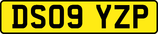 DS09YZP