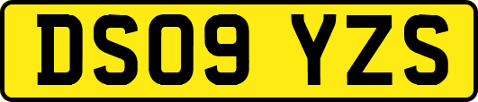DS09YZS