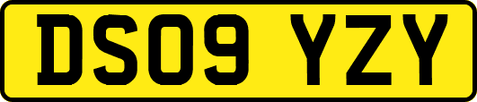 DS09YZY