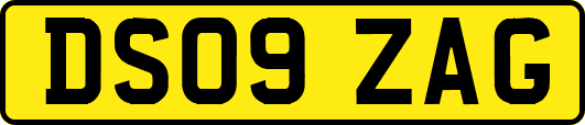 DS09ZAG