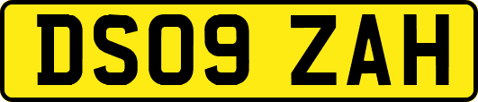 DS09ZAH