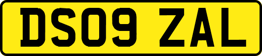 DS09ZAL