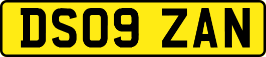 DS09ZAN