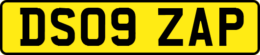 DS09ZAP