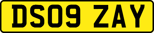 DS09ZAY