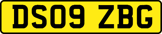 DS09ZBG