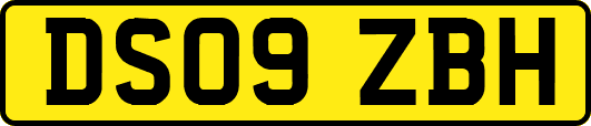 DS09ZBH