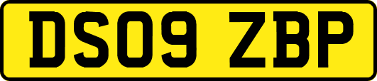 DS09ZBP