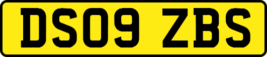 DS09ZBS