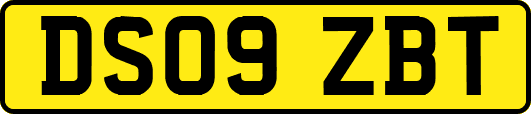 DS09ZBT