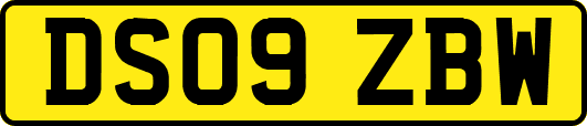 DS09ZBW