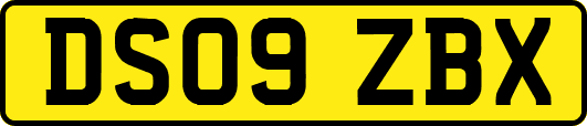 DS09ZBX