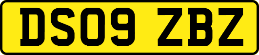 DS09ZBZ