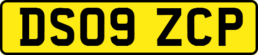 DS09ZCP