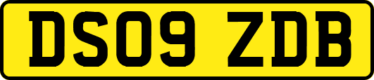 DS09ZDB