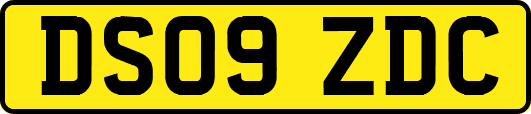 DS09ZDC