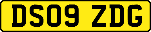DS09ZDG