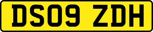 DS09ZDH
