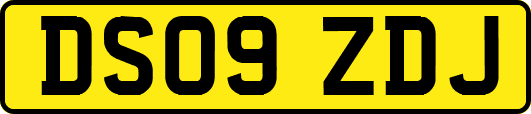 DS09ZDJ