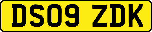DS09ZDK