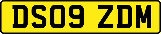 DS09ZDM