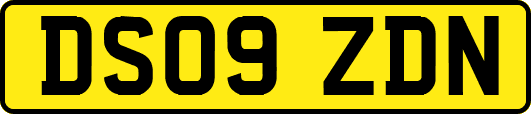DS09ZDN