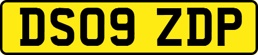 DS09ZDP