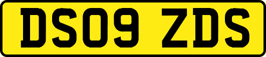 DS09ZDS