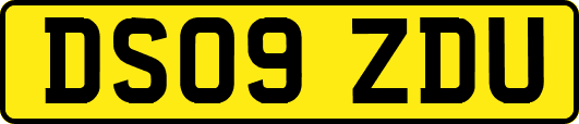DS09ZDU