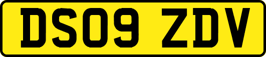 DS09ZDV
