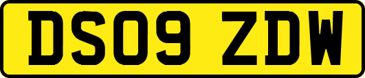 DS09ZDW