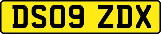 DS09ZDX