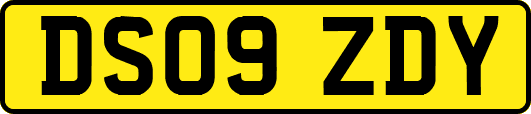 DS09ZDY