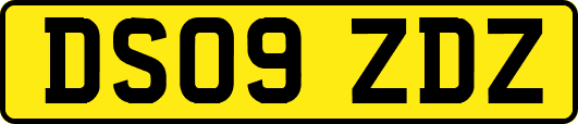 DS09ZDZ