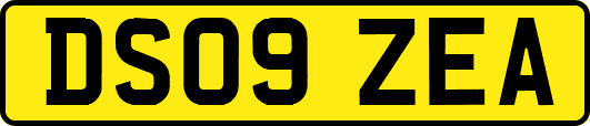 DS09ZEA