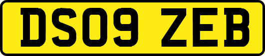 DS09ZEB