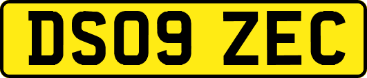 DS09ZEC