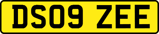 DS09ZEE