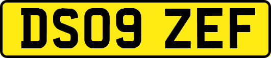DS09ZEF
