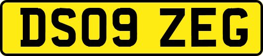 DS09ZEG