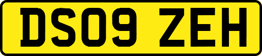 DS09ZEH