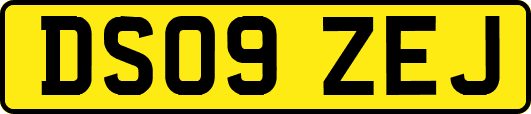 DS09ZEJ