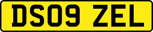 DS09ZEL