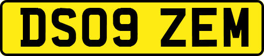 DS09ZEM